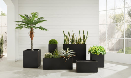Unique Outdoor Planters: Which Designs Are Trending Now?