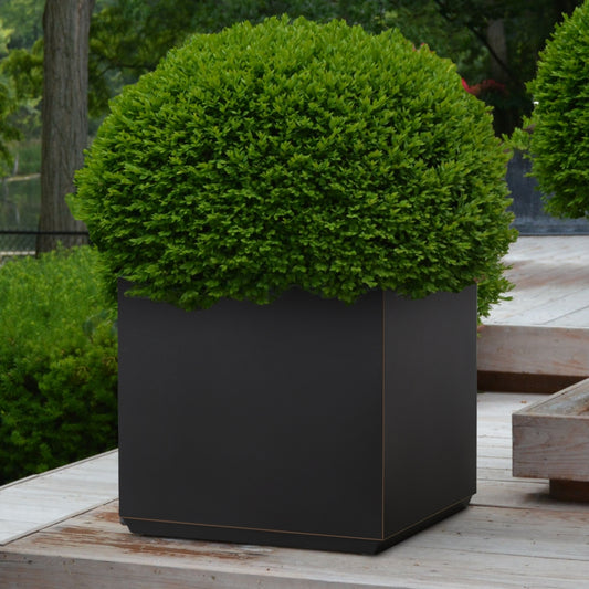 Metal Cube Planter Box 21Lx21Wx24H inch 35Pounds Black with Gold Rim