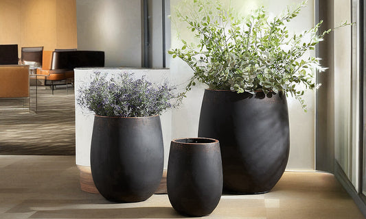 Innovative Design Ideas for Large Concrete Planters: Revitalize Your Space
